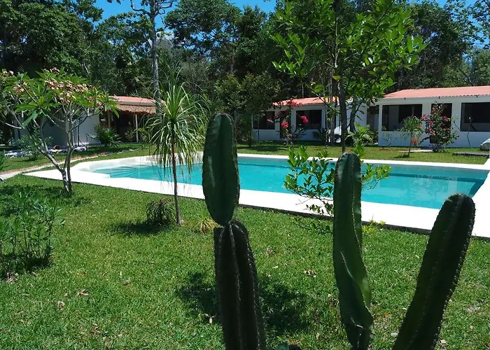 Kerubin Dorado