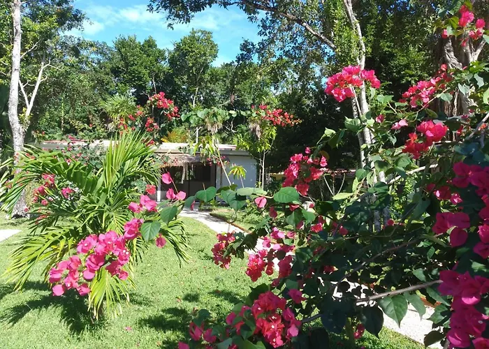 Kerubin Dorado Aparthotel 4*
