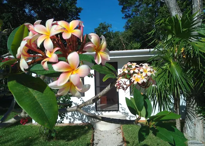 Kerubin Dorado Aparthotel Akumal